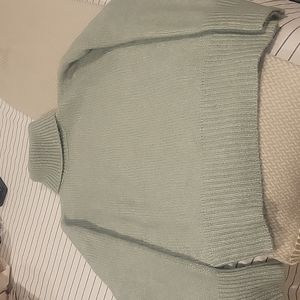 Zara sage green roll neck sweater